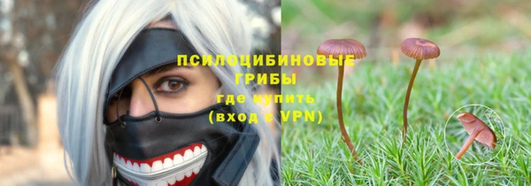 MESCALINE Аркадак