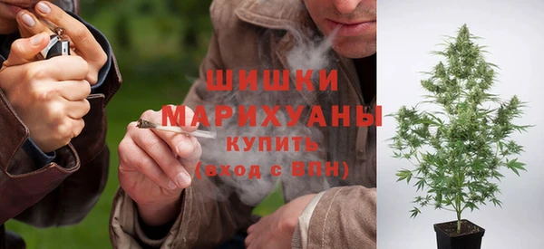 MESCALINE Аркадак