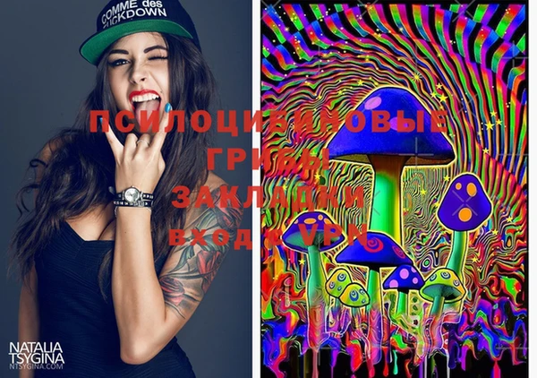 MESCALINE Аркадак