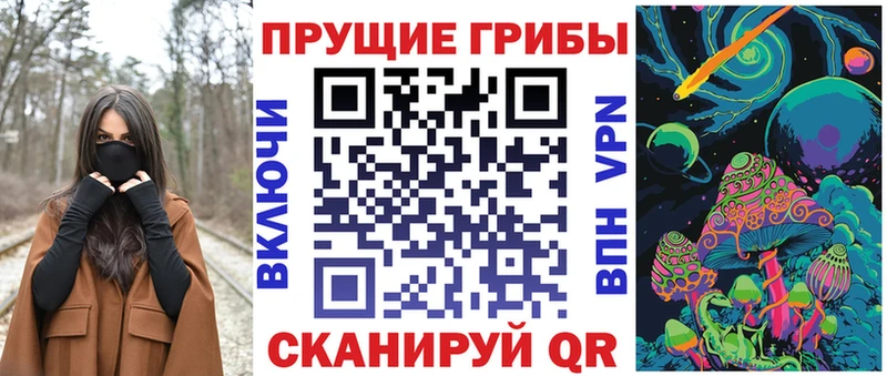 дарнет шоп  Себеж  Псилоцибиновые грибы прущие грибы 